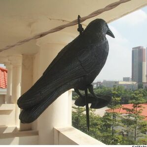 カラスよけ 38cm ◎ カラス避け 迷惑鳥 撃退 鳥獣害 対策 防止 ◎ 吊るす 吊り下げ ゴミ置き場 菜園 倉庫 ハト スズメ ムクドリ ヒヨドリ