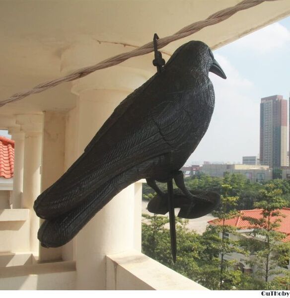 カラスよけ 38cm ◎ カラス避け 迷惑鳥 撃退 鳥獣害 対策 防止 ◎ 吊るす 吊り下げ ゴミ置き場 菜園 倉庫 ハト スズメ ムクドリ ヒヨドリ