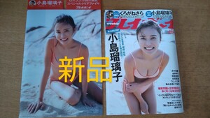 新品◆週刊プレイボーイ2023年No.1 表紙：小島瑠璃子さん　両面クリアファイル付き