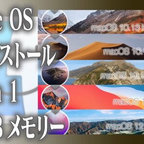 ☆macOS 5in1 インストール用高速USBメモリー☆Apple