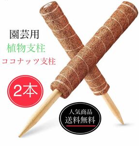 新品未使用品　園芸用支柱　2本セット