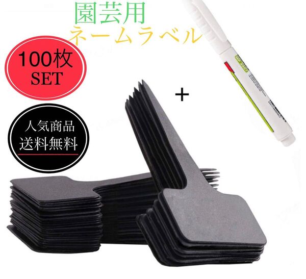 園芸ラベル　ネーム　100枚　白ペン付き　多肉植物　園芸ネーム　植物タグ　植物ネーム