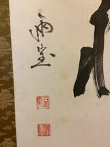 【模写】掛軸Sep568B[山本雨宝　亀招万年福]紙本　書いたもの　共箱／仏画　仏教美術　山本震琴　真言宗豊山派飛鳥寺長老　箏曲家_画像6