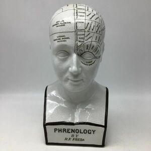 9275　英国 イギリス PHRENOLOGY BY R.F.FREDA フレノロジー 骨相学 ヘッド レトロ ビンテージ アンティーク インテリア