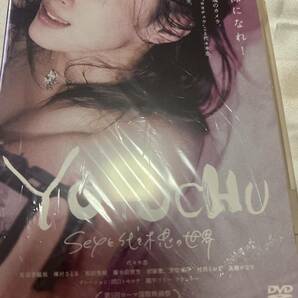 正規品 廃盤 激レア YOYOCHU DVD 2枚組特別版 代々木忠の画像1