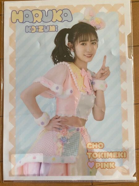 小泉遥香 クリアファイル 超ときめき宣伝部