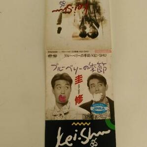 中古品です。ＣＤ、圭修、KEI-SHU（ブルーベリーの季節）レンタル落ちです、状態はケースにイタミがあります。