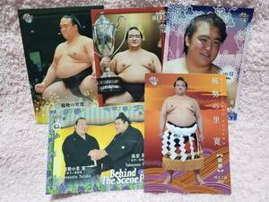 BBM 大相撲カード/マスターピース 稀勢の里寛 レギュラーカードセット