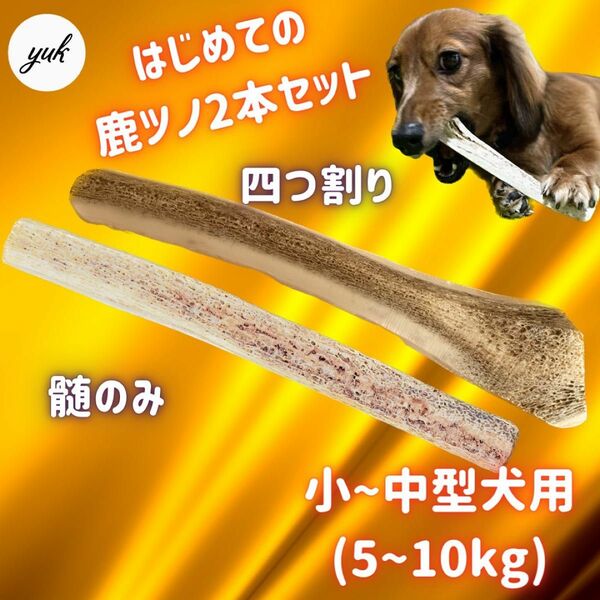 【匿名配送】小〜中型犬用　髄のみ＆四つ割りセット　北海道産エゾ鹿の角　犬のおもちゃ