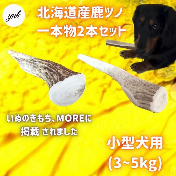【匿名配送】小型犬用　一本物　2本セット　北海道産エゾ鹿の角　犬のおもちゃ