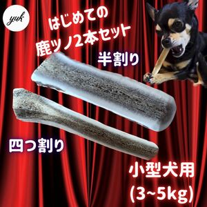 【送料無料】小型犬用　四つ割り＆半割りセット 北海道産エゾ鹿の角　犬のおもちゃ