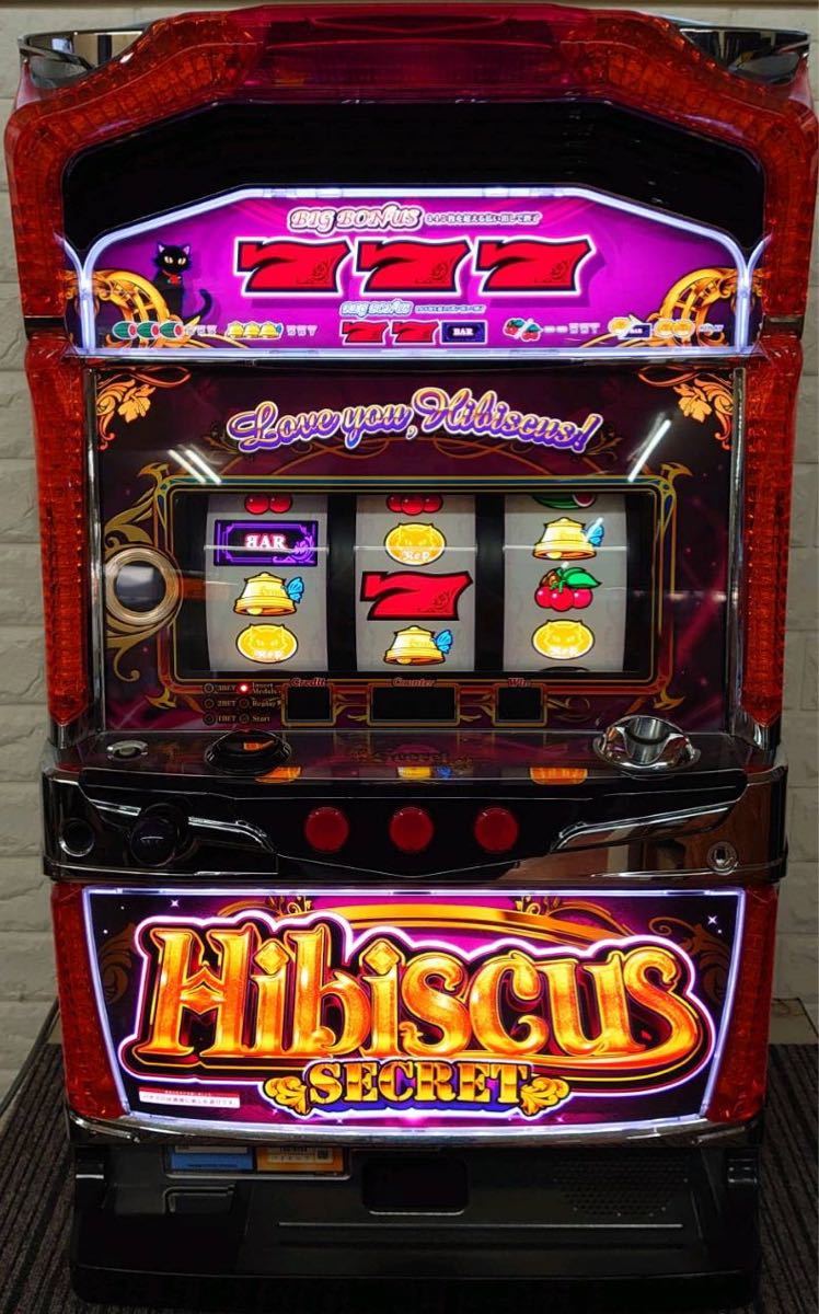 年最新ヤフオク! ハイビスカスパチンコ、パチスロの中古品