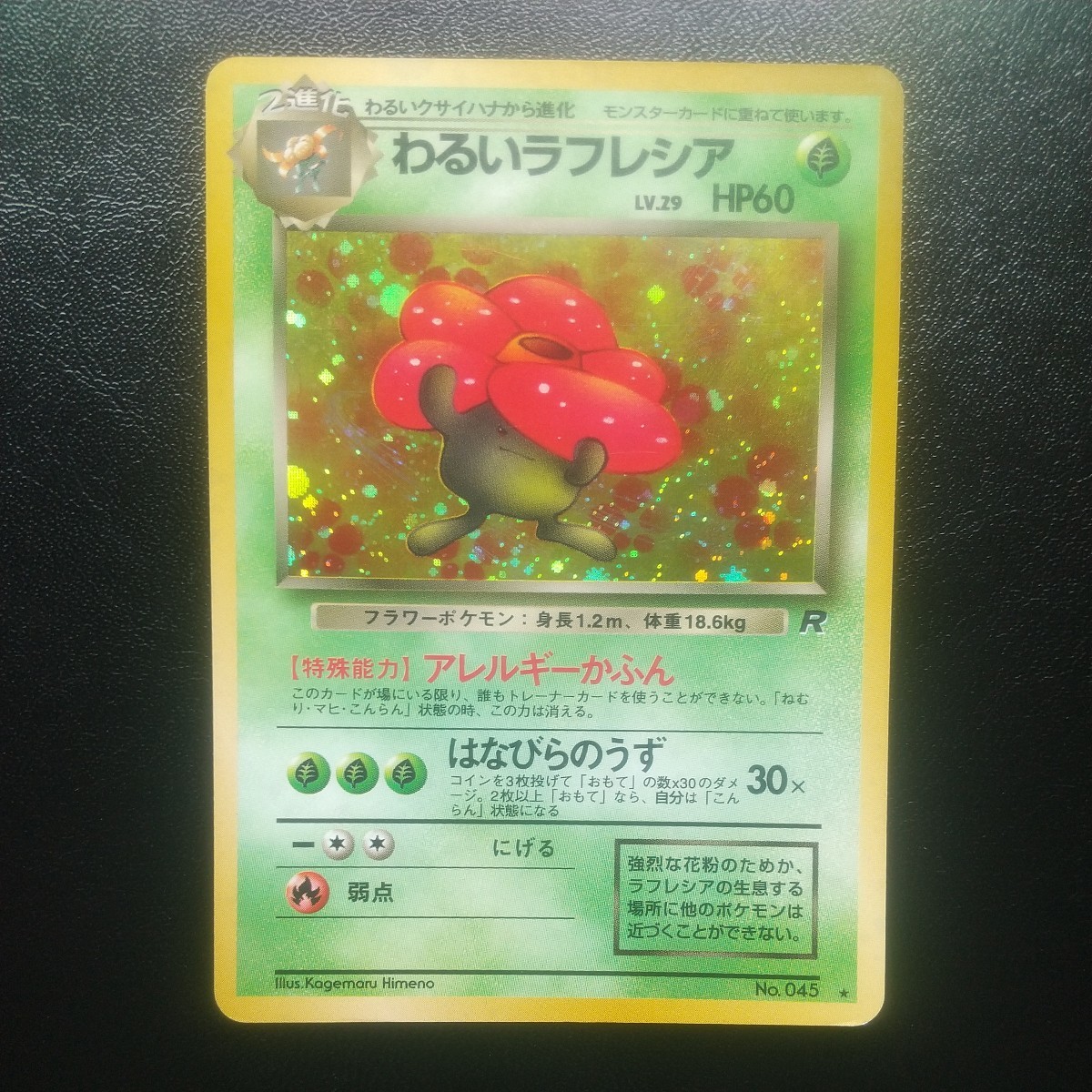 JChere雅虎拍卖代购商品:即決 ポケモンカード 旧裏面 旧裏 ラフレシア