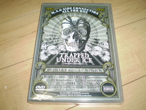 ○新品DVD！M.A.G SIDE CONNECTION x All for one/Trapped under ice x Numb Japan Tour2010*メタルコアスラッシュ