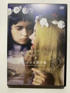 未開封 セル版 DVD 小さな悪の華 ジャンヌ・グーピル カトリーヌ・ヴァジュネール