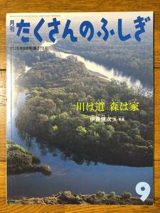 たくさんのふしぎ★378号　川は道　森は家★伊藤健次　文・写真