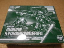 PGB861【中古】 1/100 MGシリーズ　～　MG ガンダムストームブリンガー Ｆ.Ａ.（フェイタル・アッシュ）/ジム・タービュレンス_画像1