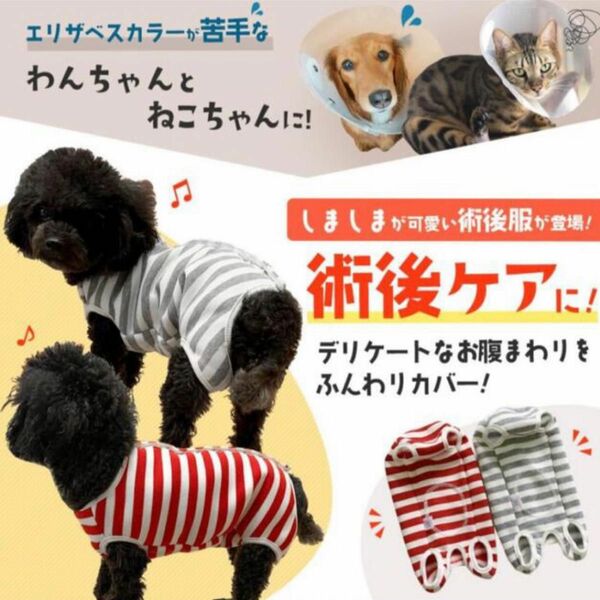 55 ペット術後服 小型犬 中型犬 犬猫用ウェア エリザベスカラー術後着保温手術