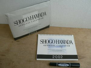 浜田省吾 カレンダー SHOGO HAMADA OFFICIAL CALENDAR 2002 開封済 未使用