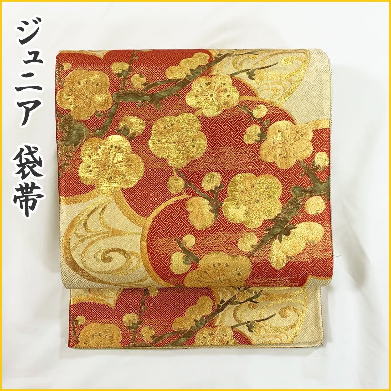 2023年最新】ヤフオク! -十三参り 着物の中古品・新品・未使用品一覧