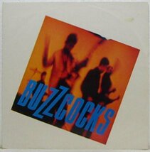 12”Single,BUZZCOCKS　LIBERTINE ANGEL 輸入盤_画像1