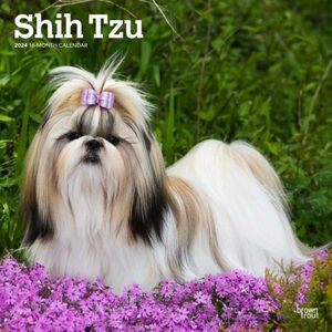 ★新品★送料無料★ シーズー 2024 カレンダー★2023年9月から16ヶ月分掲載★Shih Tzu★