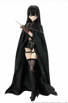 新品未開封 FIG ブラックレイヴンシリーズ セシリー ダークネスソウル〜彷徨える魂〜 アゾン (20140629)_画像6