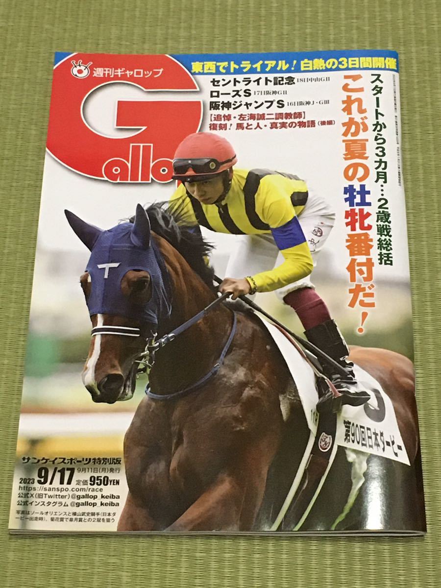 Yahoo!オークション  gallop本、雑誌 の落札相場・落札価格