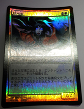 Magic:The Gathering/SOK 日光女 Nikko-Onna/日1 FOIL_画像3