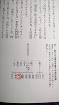 ■林業 山師 大工 斧鍛冶 義光 開墾 木工職人 民具 厚物刃物 削斧 入植 杣人 古道具 山林道具 鉈 鉞 斧■ 長雲斎系列 手鉞・身_画像10