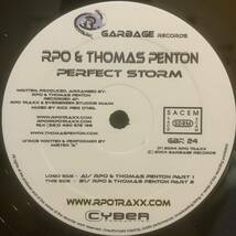 ゴア〜サイケデリックトランス RPO & Thomas Penton - Perfect Storm /JOHN OO FLEMING /Garbage Records GBR 24_画像3