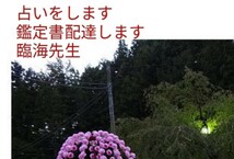 陰陽師霊視悩み受付祈祷鑑定書配達します。大人気お守りつき。陰陽師手作り白蛇皮金運祈祷込みヒーリングつき厄払い込み_画像1