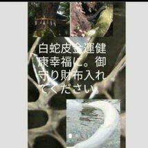 金運白蛇皮艶加工強運お守り　白蛇の皮いり持つだけ神社　金運　良縁効果！！　小さいので便利売れてます！！_画像1