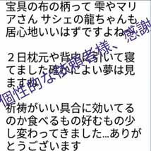 向上大社社殿ミサンガ　大龍神湖祈祷　清めミサンガ　稀少な品物配達_画像3