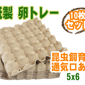 ☆送料無料☆ 卵トレー 卵パック 紙製 5×6 10枚セット 昆虫飼育用 通気口あり コオロギ デュビア ミルワーム [2885:broad]の画像1