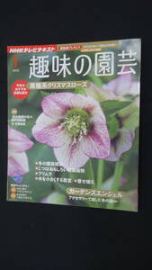 趣味の園芸 2012年1月号 原種系 観葉植物 NHKテレビテキスト MS230915-003