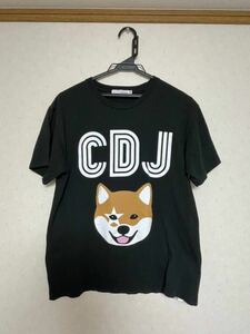 カウントダウンジャパン☆半袖Tシャツ☆2017〜2018☆Mサイズ☆ユースド☆使用回数少☆Tシャツ☆クリックポスト☆ロッキン☆野外フェス☆芝