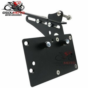  motorcycle tail side mount number plate bracket Led Harley sport Star iron 883 XL883 XL 1200 72 48 2004-2017 Black