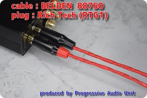 □□ BELDEN 88760＋RCA Gp_plug（RTG1）/0.45m×2本