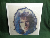 ALICE COOPER/HOUSE OF FIRE●7inch　Picture Disc_画像1