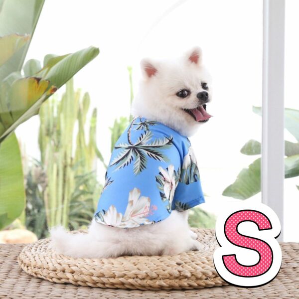 犬服ドッグウェア●アロハシャツ●夏服おしゃれ●Sブルー●猫服犬猫兼用可愛い人気