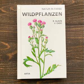 ドイツの古い植物図鑑(WILDPFLANZEN 1978年)/アンティーク ヴィンテージ 植物画 洋書 花の本 花の絵 ボタニカルアート チェコ 雰囲気◎/の画像1