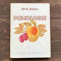 チェコの古い果物の図鑑(POMOLOGIE 1953年)/アンティーク ヴィンテージ ヨーロッパ 植物画 花 果物画 洋書 ボタニカルアート 雰囲気◎/_画像1