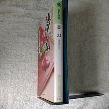 夢幻 吉原裏同心(二十二) (光文社時代小説文庫) 佐伯 泰英 9784334768935_画像3