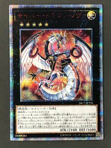 ■FH 遊戯王 (キズ有) 20CP-JPT08 サイバー・ドラゴン・ノヴァ (20thシークレットレア) 10000種突破記念 SPECIAL PACK 20th