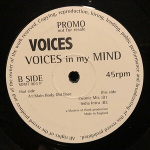 Voices / Voices In My Mind