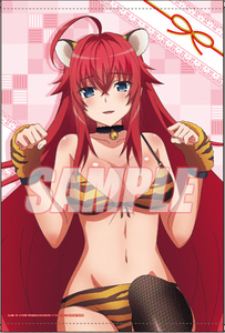  high school D×D HERO]~Happy.Year 2022~ lot lot discount .A.A-1 rear sB2 tapestry 