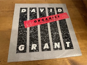 12”★David Grant / Organize / シンセ・ポップ！