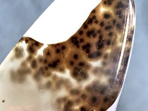 海洋玉髄　オーシャンカルセドニー　デンドライト　しのぶ石　9・28g（マダガスカル産鉱物標本）