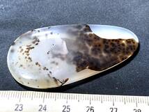 海洋玉髄　オーシャンカルセドニー　デンドライト　しのぶ石　9・28g（マダガスカル産鉱物標本）_画像3